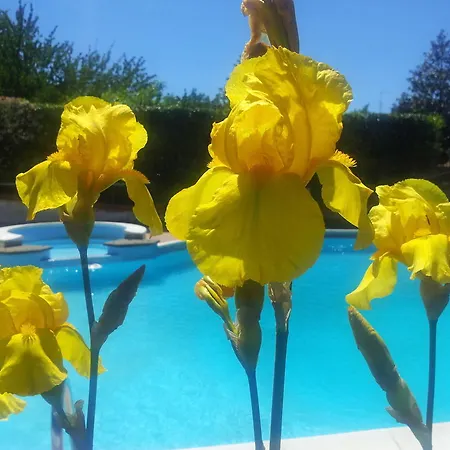 La Castagnola Bed & Breakfast Rocca Di Papa