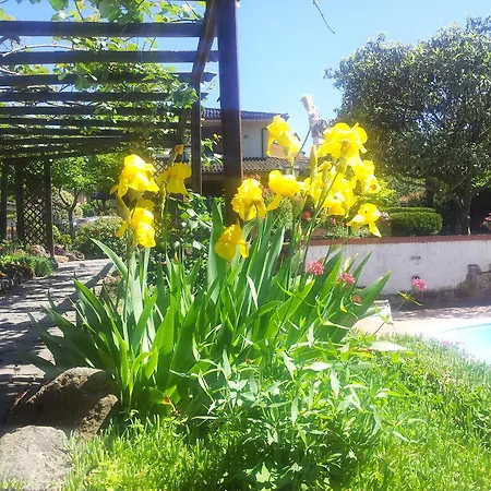 La Castagnola Bed & Breakfast Rocca Di Papa